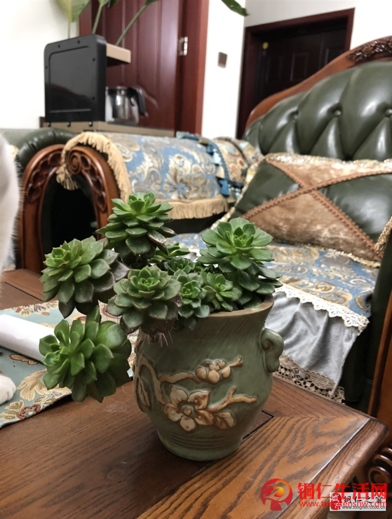 新華都3室 2廳 2衛63萬元